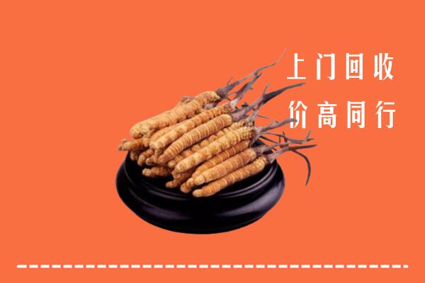 高价求购：十堰市张湾区回收散虫草
