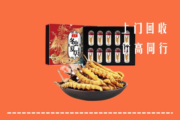 十堰市张湾区回收虫草